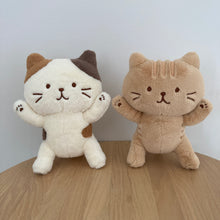 ふくふくにゃんこ POSEIES(ポージーズ) &ポスターセット【WEB限定】