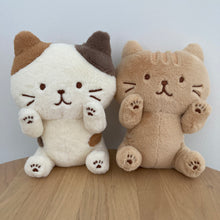 ふくふくにゃんこ POSEIES(ポージーズ) &ポスターセット【WEB限定】