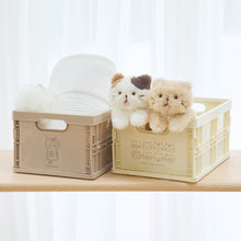 ふくふくにゃんこ プラ折り畳めるコンテナボックス(Mサイズ)