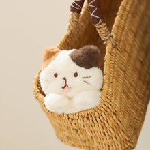 ふくふくにゃんこ ごろにゃんぬいぐるみ(ミケランジェロ・チャチャ丸)