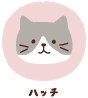 ハッチ