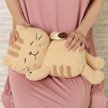 FukuFukuNyanko チャチャ丸まんぷく抱きぐるみ