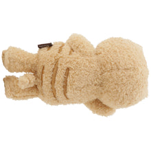 FukuFukuNyanko チャチャ丸まんぷくマスコット