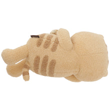 FukuFukuNyanko チャチャ丸まんぷく抱きぐるみ