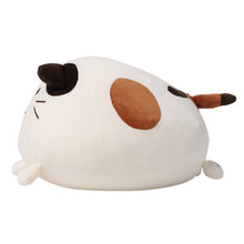 【予約販売】ふくふくにゃんこ 10周年記念まるまるクッション