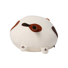 【予約販売】ふくふくにゃんこ 10周年記念まるまるクッション