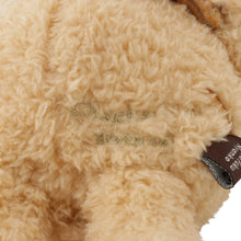 FukuFukuNyanko チャチャ丸まんぷくマスコット