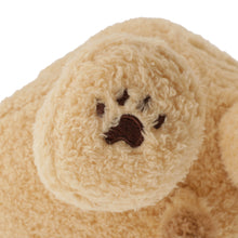 FukuFukuNyanko チャチャ丸まんぷく抱きぐるみ