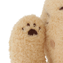 FukuFukuNyanko チャチャ丸まんぷく抱きぐるみ