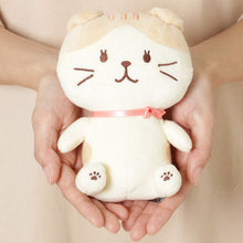 ふくふくにゃんこ おすわりマスコット(スコア・シャーシャ)