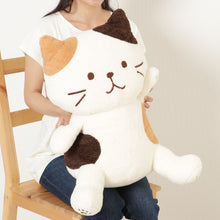 ふくふくにゃんこ ぽわぽわBIG抱きぐるみ&ポスターセット【WEB限定】