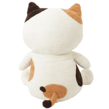 ふくふくにゃんこ ぽわぽわBIG抱きぐるみ&ポスターセット【WEB限定】