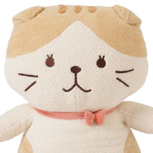 ふくふくにゃんこ ぽわぽわBIG抱きぐるみ(スコア・シャーシャ)