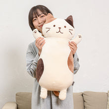  Fuku Fuku Nyanko もっちり抱きぐるみ【WEB限定】
