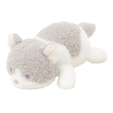  アニマル キャット ぬいぐるみ
