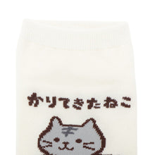  ふくふくにゃんこ バラエティ ショート ソックス
