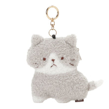  ふくふくにゃんこ KITTENパスケース
