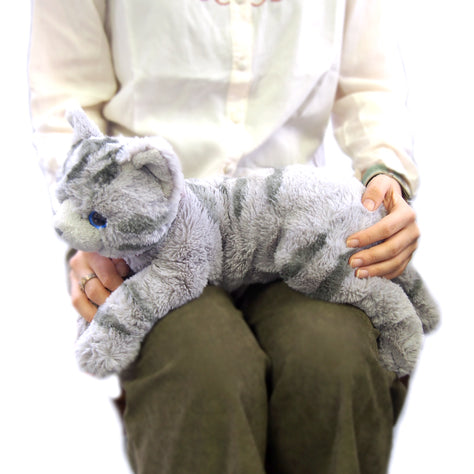 ひざねこ M – HAPiNS online shop