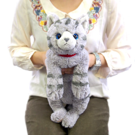 ひざねこ M – HAPiNS online shop