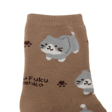  ふくふくにゃんこ パイルソックス　みつめて 【2026‗秋冬】
