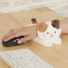  ふくふくにゃんこ ごろにゃんセット
