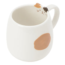  【再入荷】ふくふくにゃんこ つむつむ食器セット
