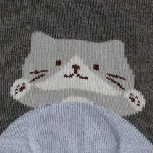  ふくふくにゃんこ ひょっこりパイルソックス
