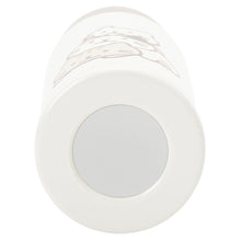  ふくふくにゃんこ むぎゅっとにゃんこハンドル付きステンレスボトル350ml
