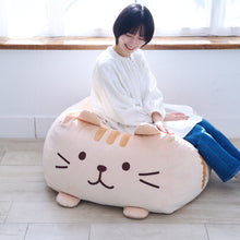  Fuku Fuku Nyankoチャチャ丸BIGクッション【WEB限定】
