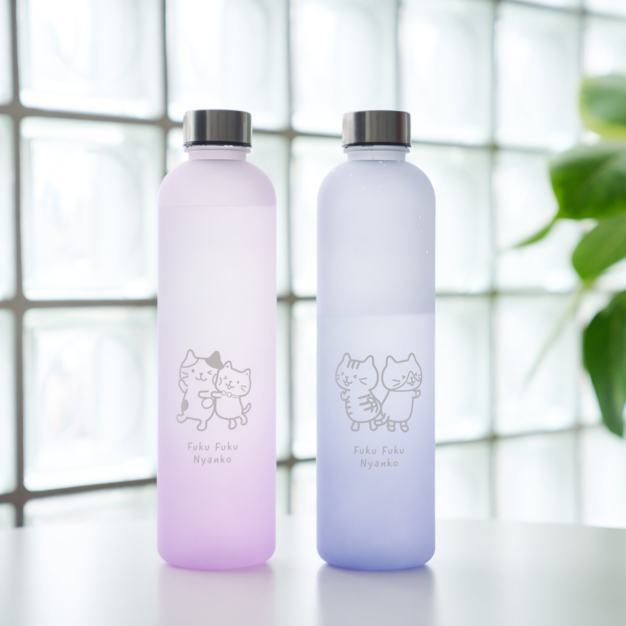 にゃんこ ふくふくにゃんこ ウォーターボトル（1000ml）② – HAPiNS