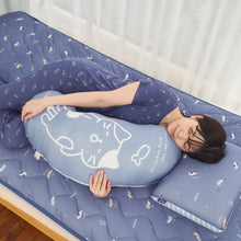  ふくふくにゃんこ 接触冷感ごろにゃんまったりミニ抱き枕【WEB限定】
