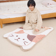  ふくふくにゃんこ ぱっくんにゃんこケット2点セット
