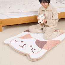  ふくふくにゃんこ ぱっくんにゃんこケット2点セット
