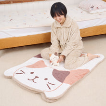  ふくふくにゃんこ ぱっくんにゃんこケット2点セット
