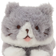  ふくふくにゃんこ ごろにゃんぬいぐるみ
