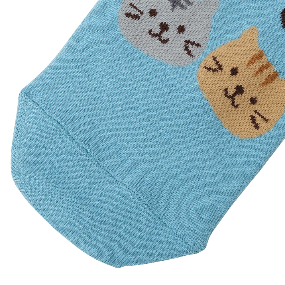 ふくふくにゃんこ サファリスニーカーソックス – HAPiNS online shop