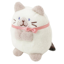  ふくふくにゃんこ マスコットS（スコア・シャーシャ）
