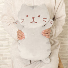  ふくふくにゃんこ ミニもっちり抱きぐるみ【WEB限定】

