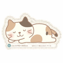  ふくふくにゃんこ とろけるぽこぽこブランケットＬL
