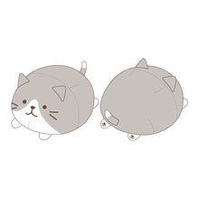  【予約販売】ふくふくにゃんこ 10周年記念まるまるクッション
