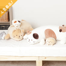  ふくふくにゃんこ 抱き枕
