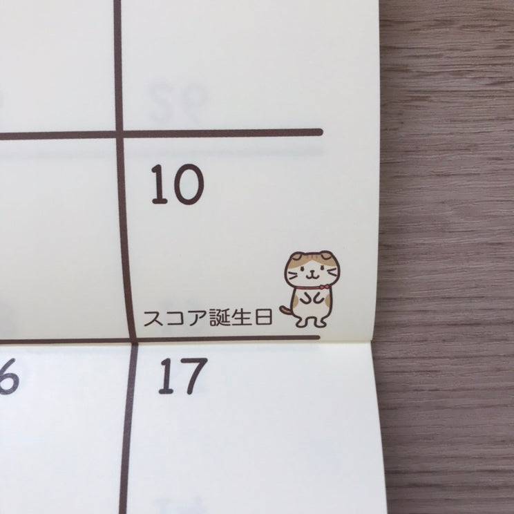 ふくふくにゃんこ 2026年カレンダーセット【WEB限定】 – HAPiNS online