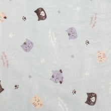  Fuku Fuku NyankoフランネルブランケットLL【WEB限定】【次回12月入荷予定】
