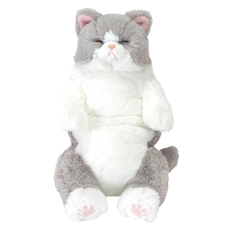 ひざねこ すやすや – HAPiNS online shop