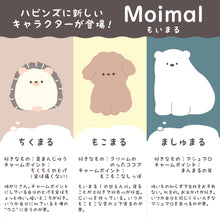  Moimalクッション
