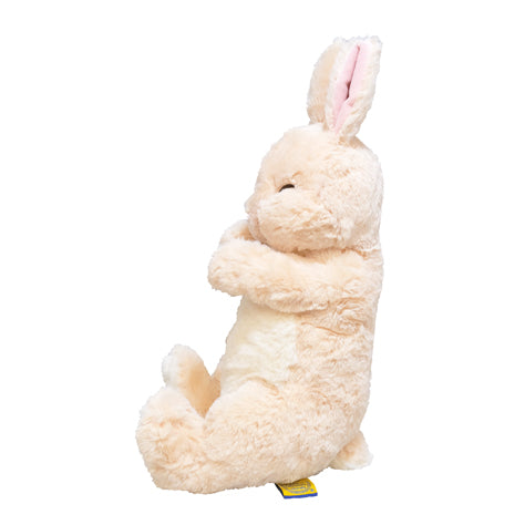 ひざうさぎすやすや – HAPiNS online shop