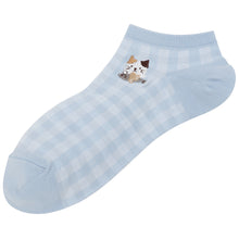  Fuku Fuku Nyankoスニーカーソックス/ギンガムチェック【3足税込1100円】
