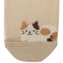  Fuku Fuku Nyankoシースルースニーカーソックス【3足税込1100円】
