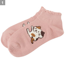  Fuku Fuku Nyanko涼感いかにゃいでスニーカーソックス【3足税込1100円】
