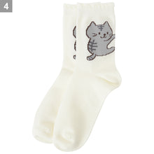 Fuku Fuku Nyanko涼感いかにゃいでクルーソックス【3足税込1100円】
